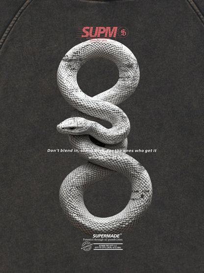 Vintage Washed Snake Appliqué Pullover Hoodie 