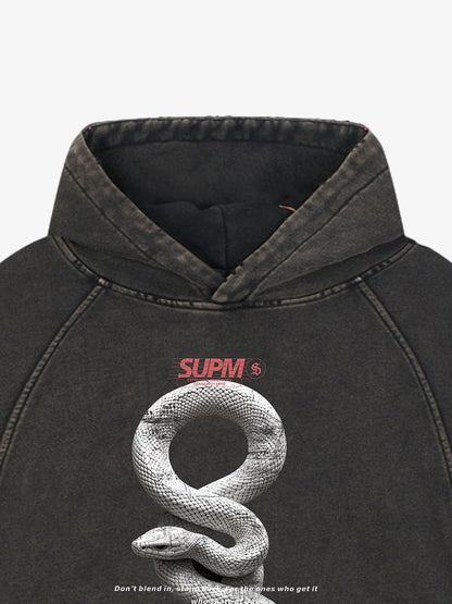 Vintage Washed Snake Appliqué Pullover Hoodie 