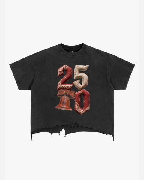 Vintage Washed 250 Graphic Distressed Cropped T-Shirt