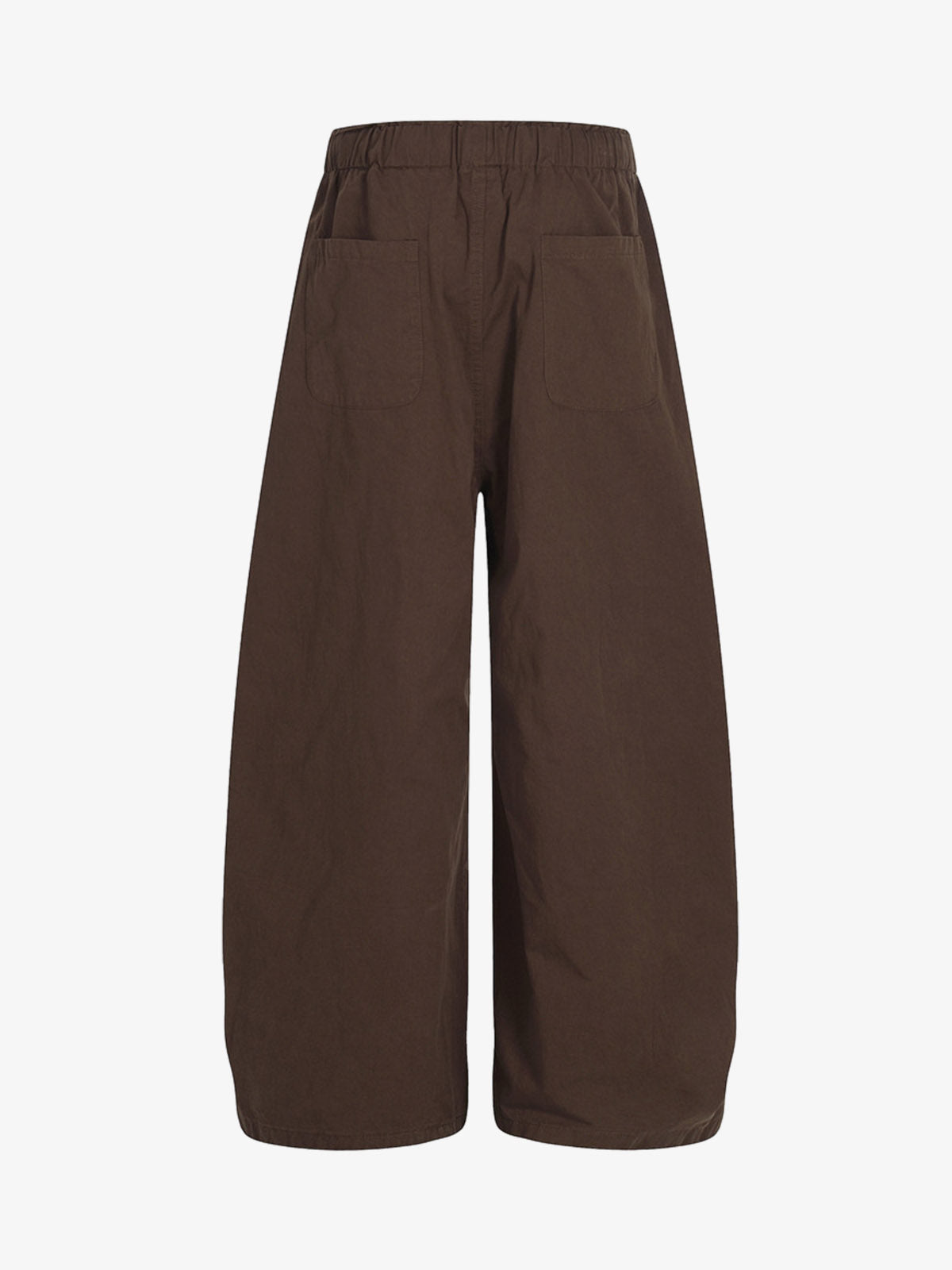 Drawstring Pleated Barrel Pants 